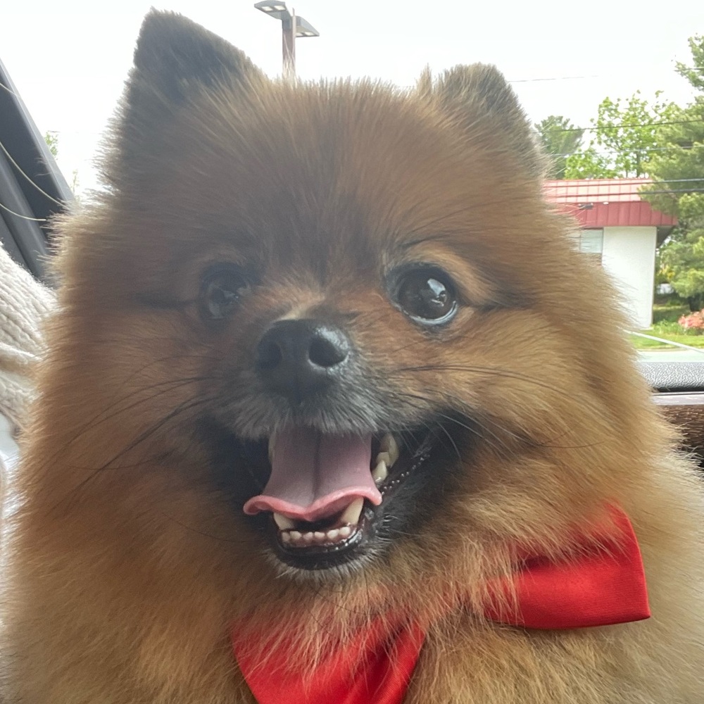 Meet your Posher, Katerina